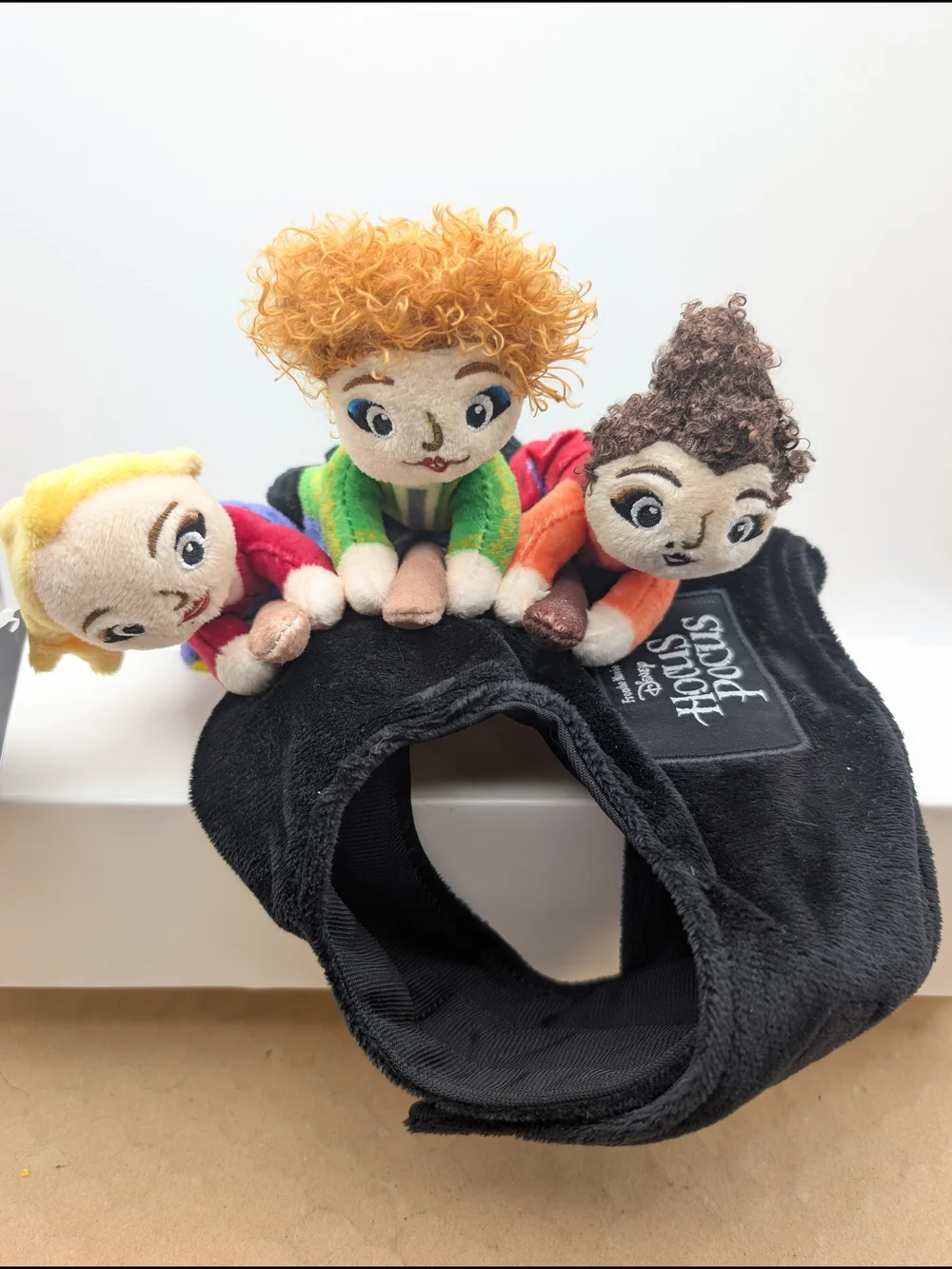 Disney Hocus Pocus Trio Small Pet Apparel Costume. Chewy